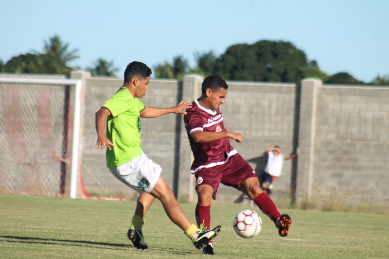 2008 img 6498