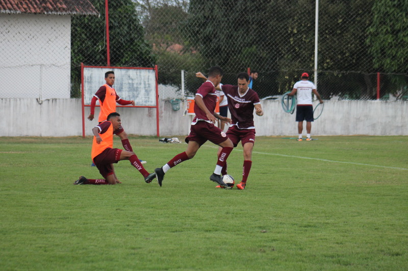 2459 img 9114