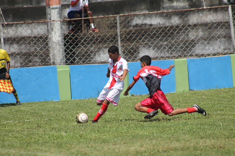 3554 img 0236
